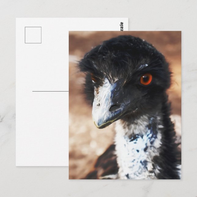 Piercing Eyes of the Outback Postkarte (Vorne/Hinten)