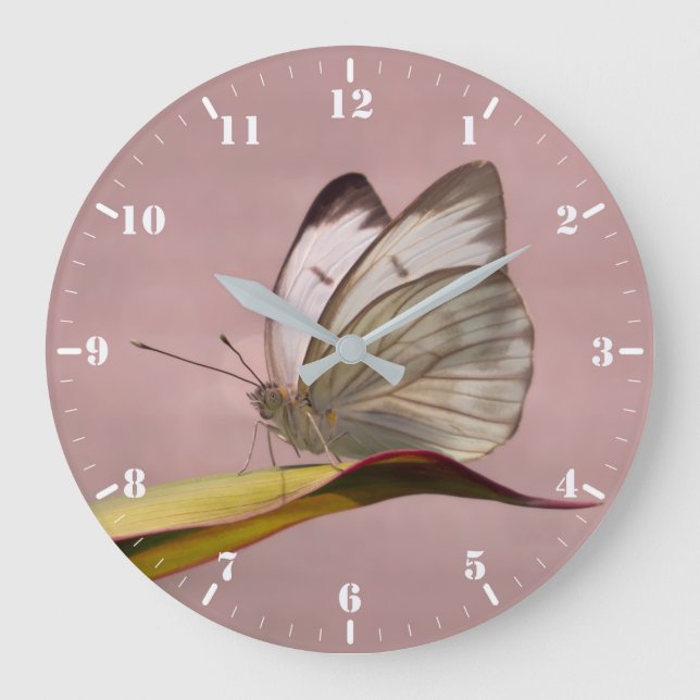 Pieris Garden White Schmetterling Große Wanduhr (Vorderseite)