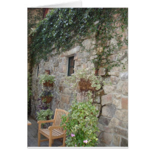 Pierre et lierre avec banc de jardin