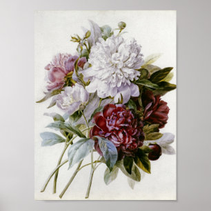 Pierre Joseph Redoute - ein Blumenstrauß der roten Poster