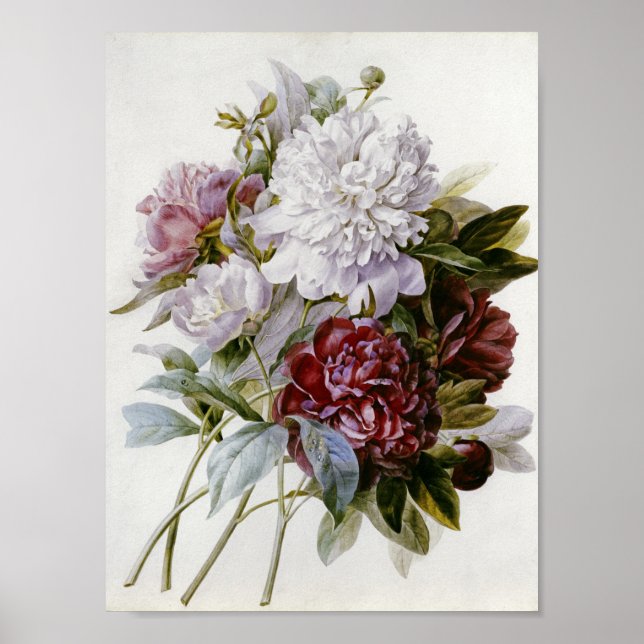 Pierre Joseph Redoute - ein Bouquet roter Peonies Poster (Vorne)