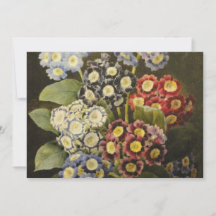 Pierre Joseph Redoute - ein Bouquet von Auriculas