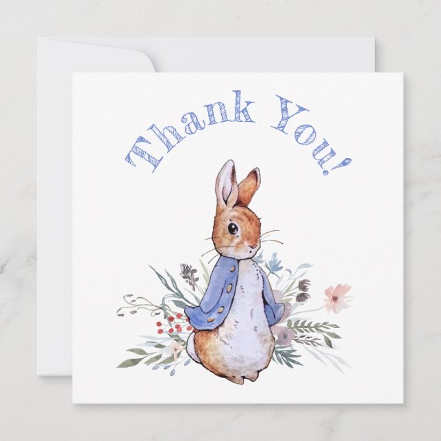 Pierre le Merci du lapin (Devant)