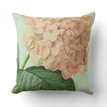 Pierre Redoute Hydrangea Blume