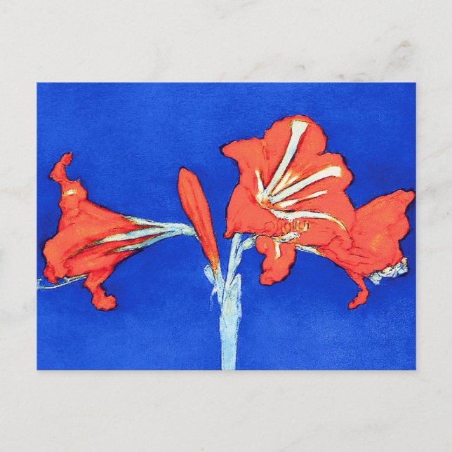 Piet Mondrian - Amaryllis Blume Malerei Postkarte (Vorderseite)