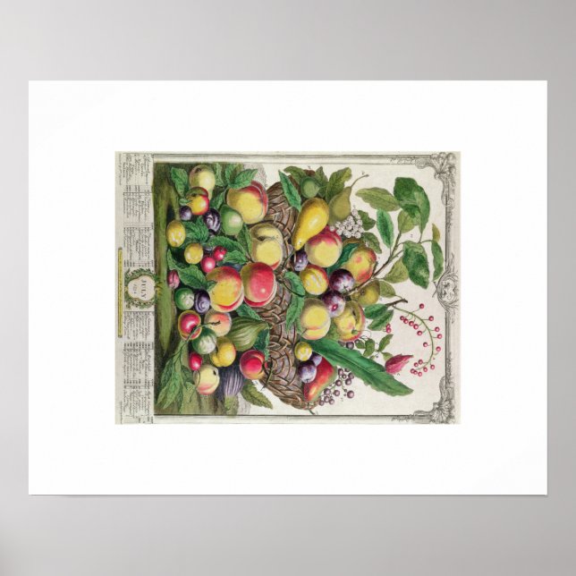 Pieter Casteels, Zwölf Monate Obst, Juli Poster (Vorne)