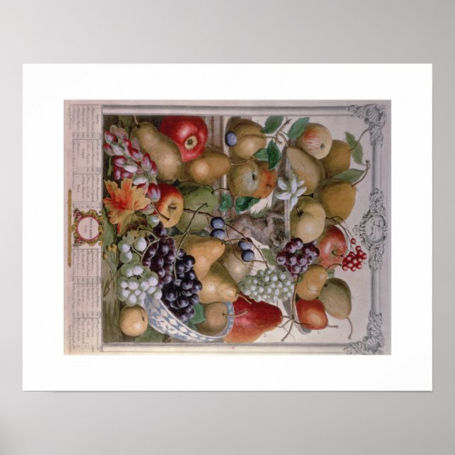 Pieter Casteels, Zwölf Monate Obst November Poster (Vorne)