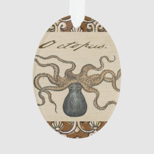 Pieuvre Kraken Antique Faune Marine Côtière