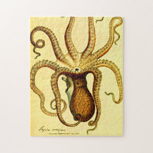 Pieuvre Vintage N° 46 Puzzle de zoologie histori