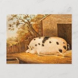 Pig Gepunktet Hog Vintage Bauernhöfe Malerei Postkarte