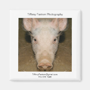 Pig Promo Piece Magnet