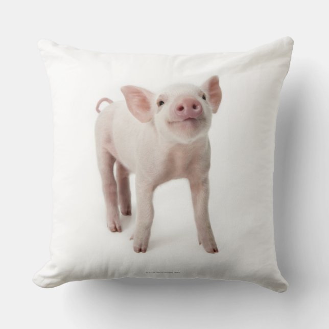 Pig Stehend nachsehen Kissen (Vorderseite)