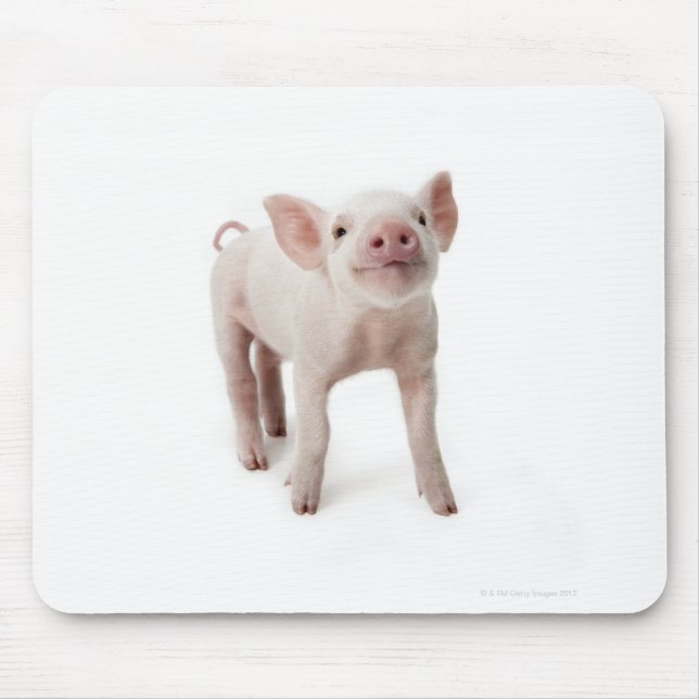 Pig Stehend nachsehen Mousepad (Vorne)