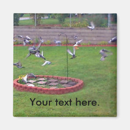 Pigegons Flying Bird Feeder Yard Magnete Magnet