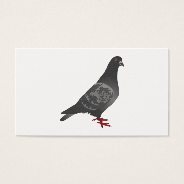 Pigeon (Devant)