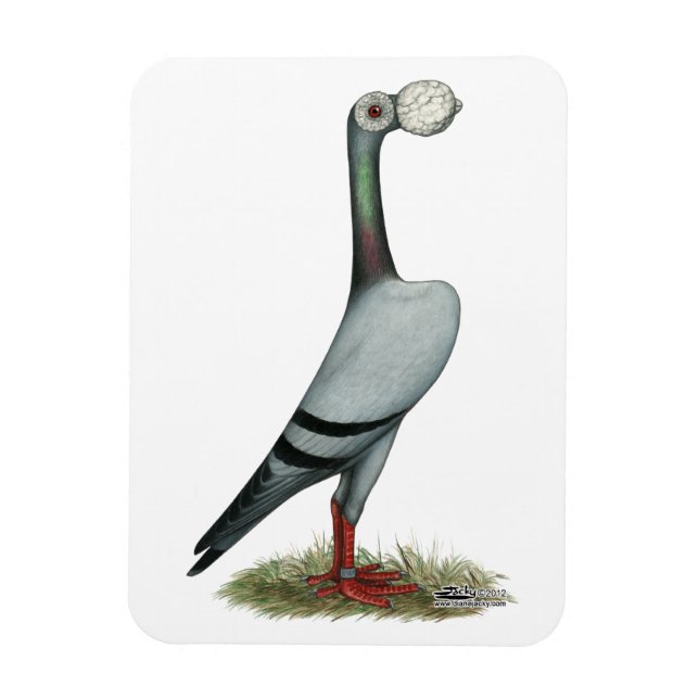 Pigeon 2012 magnet (Vertikal)