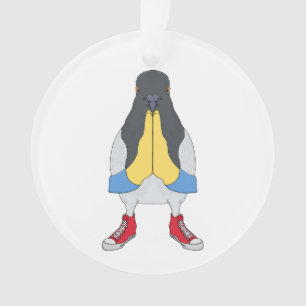 Pigeon avec chaussures