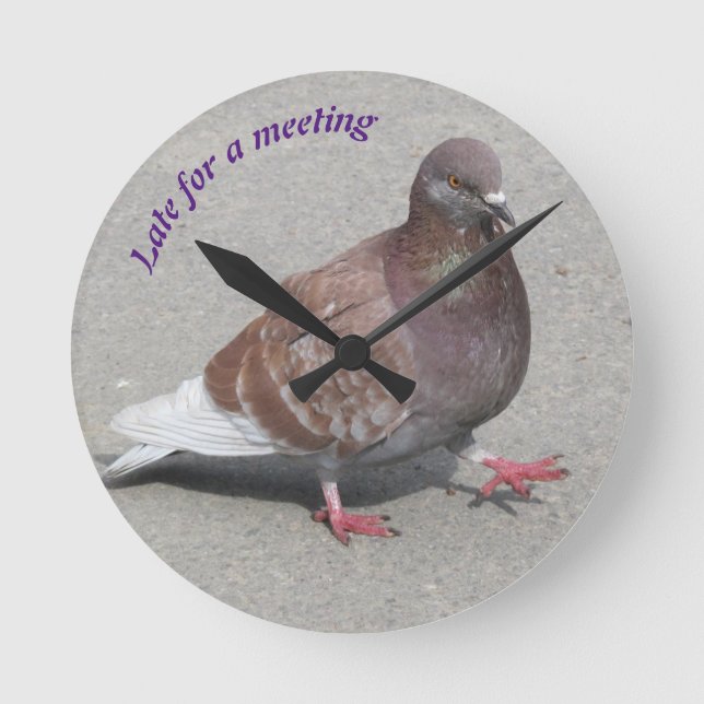 Pigeon clock runde wanduhr (Vorderseite)