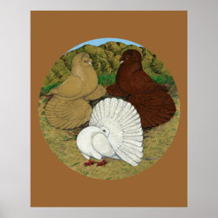Pigeon Combo Poster