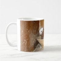 Pigeon dans sa tasse de cuvette de nid