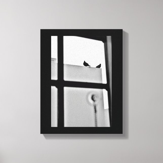 Pigeon Drama Leinwanddruck (Vorderseite)