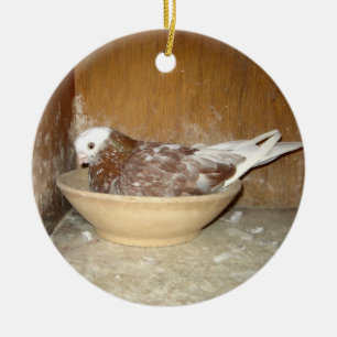Pigeon en son ornement de cuvette de nid