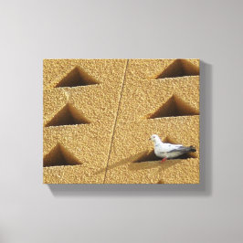 Pigeon Foto Leinwanddruck