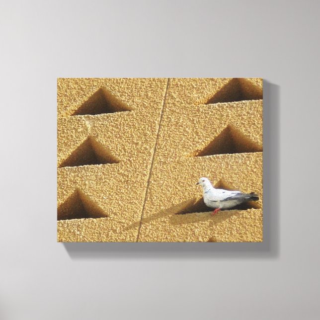 Pigeon Foto Leinwanddruck (Vorderseite)