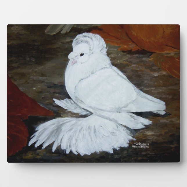 Pigeon Fotoplatte (Vorderseite)