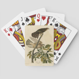 Pigeon Hawk (Merlin) - Audubons Vögel von Amerika Spielkarten