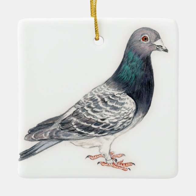 Pigeon II Bird Art Keramikornament (Vorderseite)