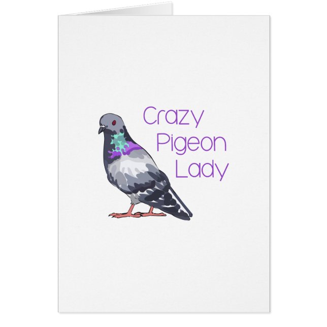 PIGEON LADY CRAZY (Devant)
