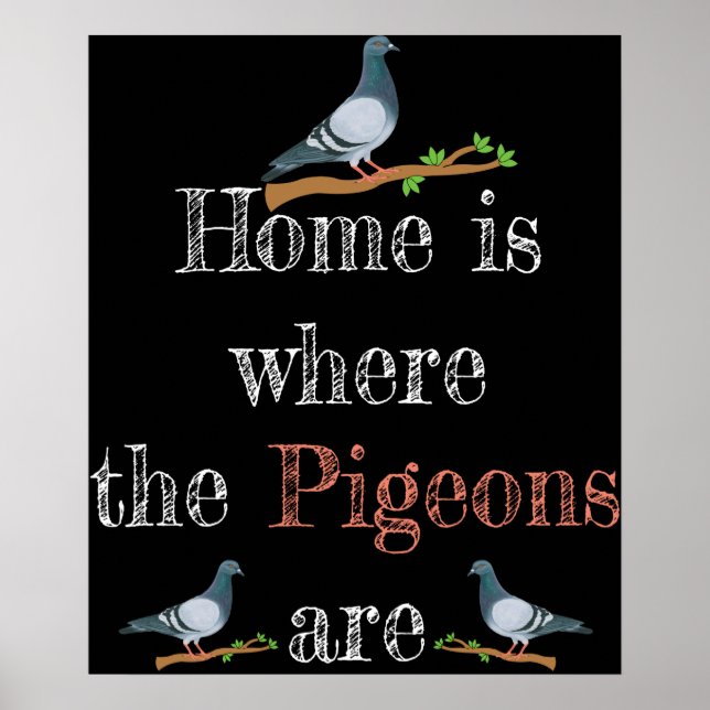 Pigeon Lover Pigeon Racing Gift Pigeon Zucht Poster (Vorne)