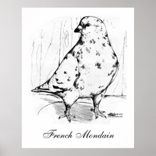 Pigeon Mondain 1978 Poster