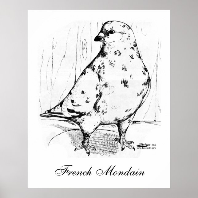 Pigeon Mondain 1978 Poster (Vorne)