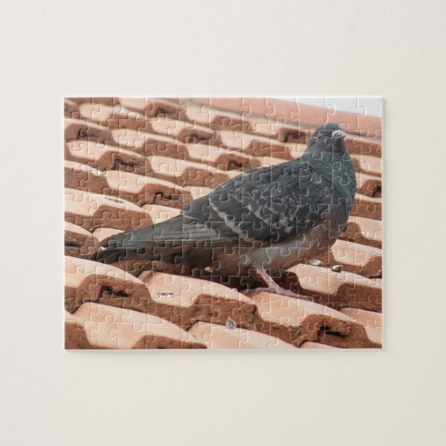 Pigeon Puzzle (Horizontal)
