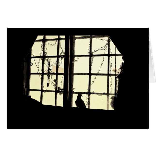 Pigeon réfléchi (Devant horizontal)