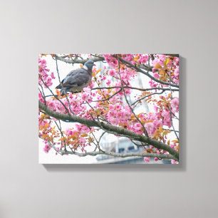 Pigeon-Ruhen auf einer Baumzweig-Leinwand Leinwanddruck