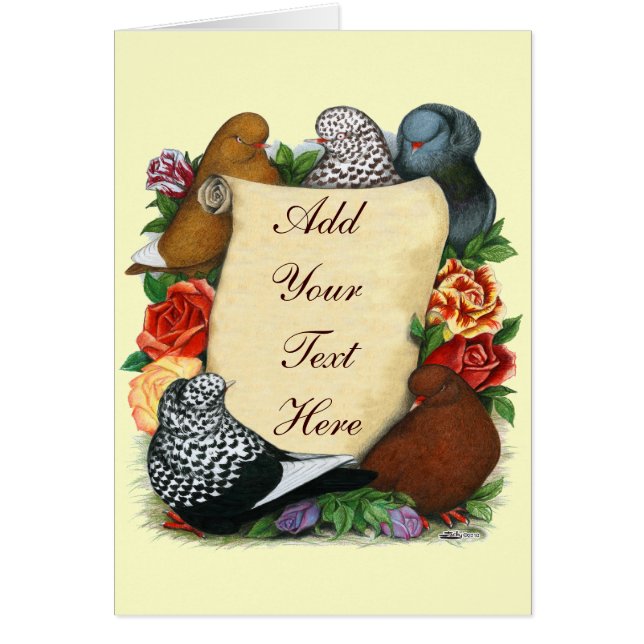 Pigeon Scroll (Vorne)