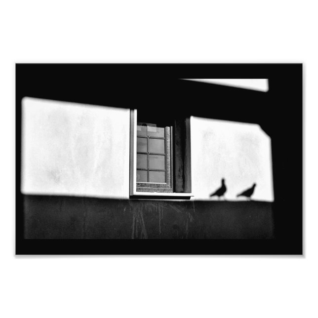 Pigeon Shadows Fotodruck (Vorne)
