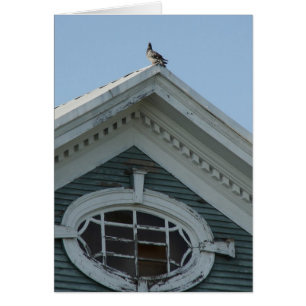 Pigeon sur la Vieille Maison