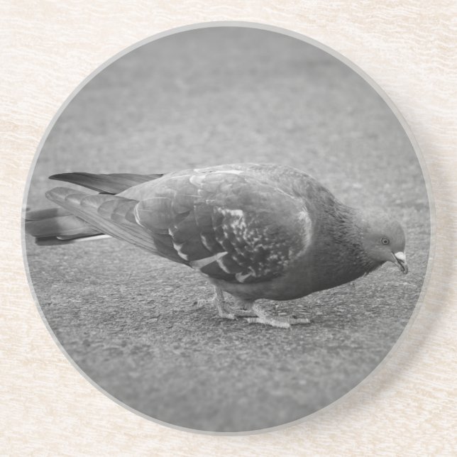 Pigeon Untersetzer (Vorne)