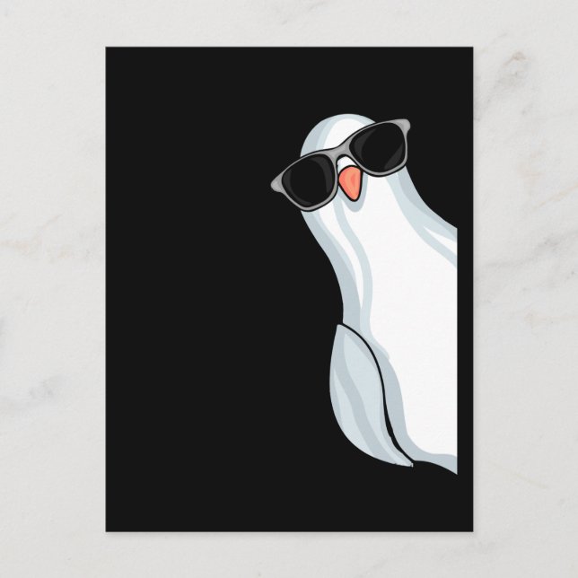 Pigeon White King Fencing Men Pigeon Racing Taube Postkarte (Vorderseite)