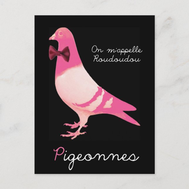 Pigeonnes - On m'appelle Roudoudou Postkarte (Vorderseite)