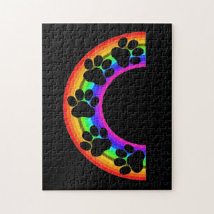 Piges De Puzzle Sur Un Arc En Ciel