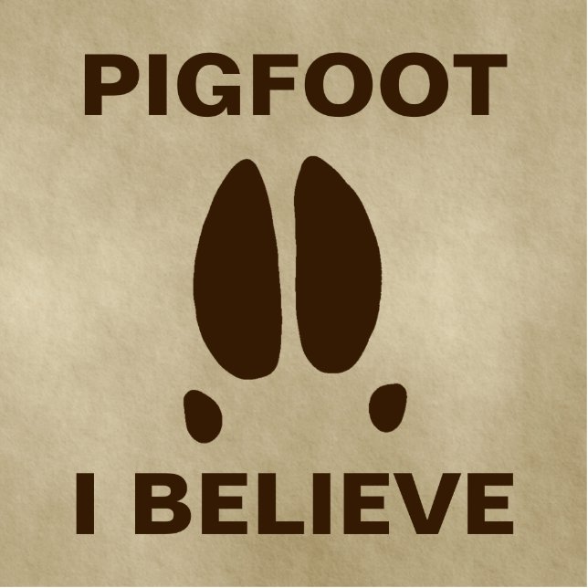 Pigfoot - Ich glaube Fotoskulptur Magnet (Vorne)
