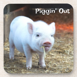 Piggin' Out Farm Life Dessous de verre en plastiqu