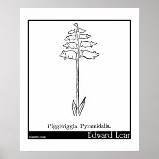 Piggiwiggia Pyramidalis. Poster