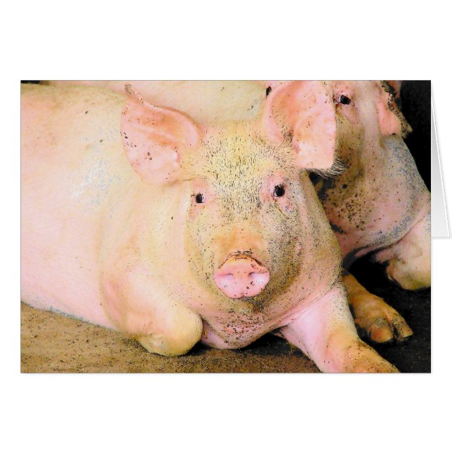 Piggy (Devant horizontal)