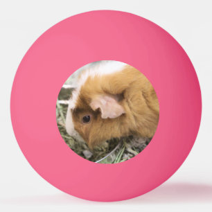Piggy Golf Hat Clip Tischtennisball